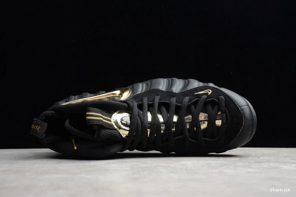 Metallic Gold 624041-009 Black Foamposite  Pro Air 1024